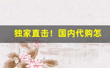 独家直击！国内代购怎么入行“长恶靡悛”