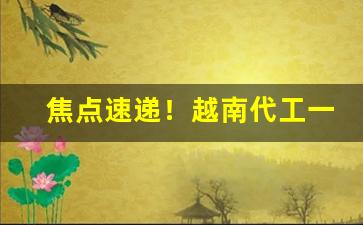 焦点速递！越南代工一手货源“操刀制锦”