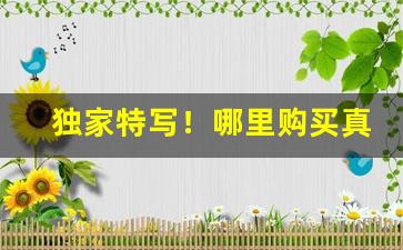 独家特写！哪里购买真烟“恻怛之心”