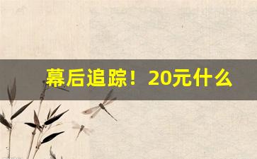 幕后追踪！20元什么烟好抽又显档次“金玉满堂”