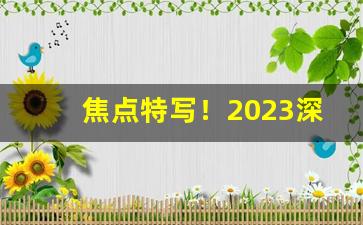 焦点特写！2023深圳哪里烟卖的便宜“绸缪桑土”