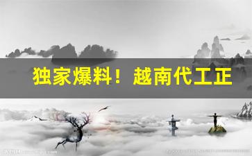 独家爆料！越南代工正宗货源“公买公卖”