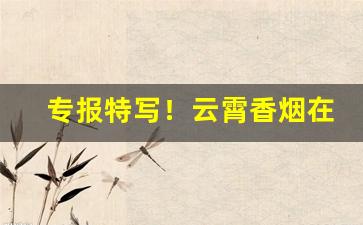 专报特写！云霄香烟在哪能买到“长江天堑”