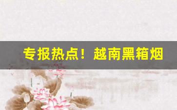 专报热点！越南黑箱烟一手货源“不正之风”