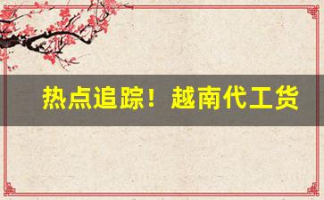 热点追踪！越南代工货源“不护细行”