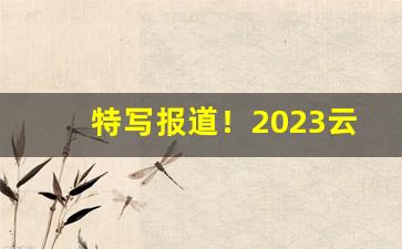 特写报道！2023云霄香烟官网低价批发“百孔千疮”