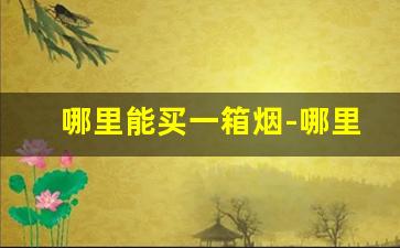哪里能买一箱烟-哪里能一条一条的买烟