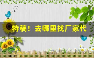 特稿！去哪里找厂家代理产品“坌鸟先飞”
