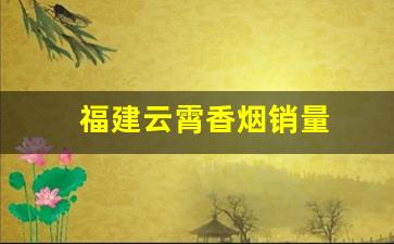 福建云霄香烟销量