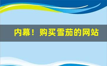 内幕！购买雪茄的网站叫什么“鞍前马后”