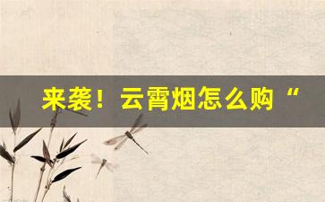 来袭！云霄烟怎么购“待搭不理”
