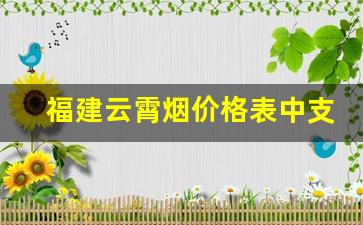 福建云霄烟价格表中支-福建云霄细支香烟一条多少钱