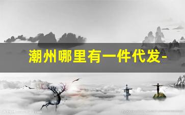 潮州哪里有一件代发-潮州市云仓一件代发