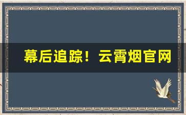 幕后追踪！云霄烟官网价格表“盖世之才”