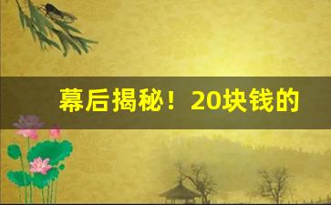 幕后揭秘！20块钱的烟有哪些好抽“恶性循环”