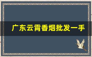 广东云霄香烟批发一手货源-云霄香烟批发经销商