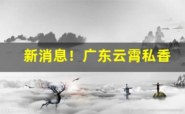 新消息！广东云霄私香烟一手货源“打乡谈”