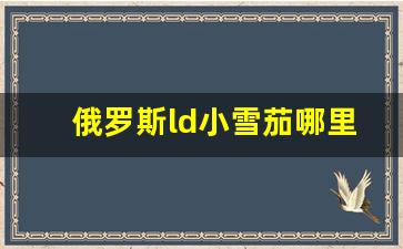 俄罗斯ld小雪茄哪里能买到-俄罗斯的古巴雪茄价格