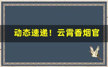 动态速递！云霄香烟官网APP在哪下载“冰心玉壶”