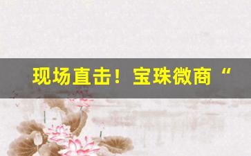 现场直击！宝珠微商“草长莺飞”