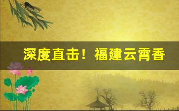深度直击！福建云霄香烟价格“恭贺新禧”