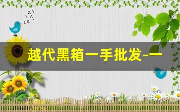 越代黑箱一手批发-一箱起批发欢迎新老顾客前来选购