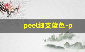 peel细支蓝色-peel多少钱一支