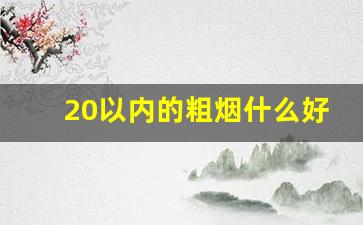 20以内的粗烟什么好抽-20到25以内什么烟最好抽