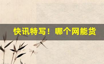 快讯特写！哪个网能货到付款“出其不虞”