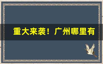 重大来袭！广州哪里有烟斗实体店“戴玄履黄”