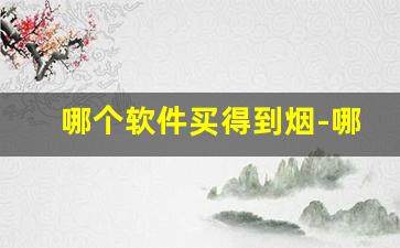 哪个软件买得到烟-哪个软件能买得到烟上海