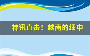 特讯直击！越南的细中华哪里生产的“摧陷廓清”
