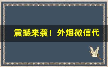 震撼来袭！外烟微信代理一手货源价格“春满人间”