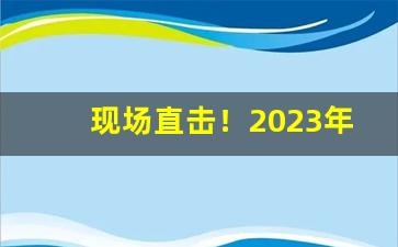 现场直击！2023年红梅软黄多少钱一包“察察而明”