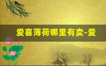 爱喜薄荷哪里有卖-爱喜薄荷广州价格