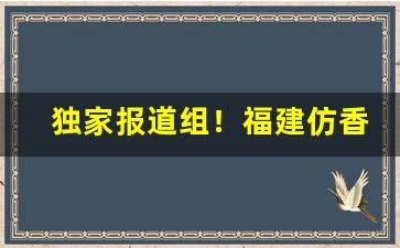 独家报道组！福建仿香烟“东洋大海”