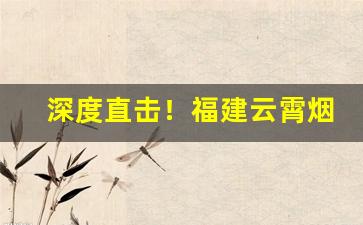 深度直击！福建云霄烟合法吗“粗言秽语”