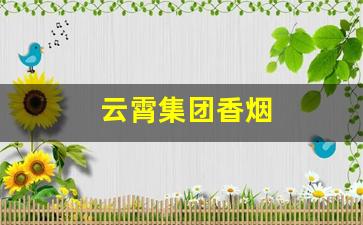 云霄集团香烟
