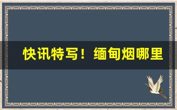 快讯特写！缅甸烟哪里买“谄上欺下”