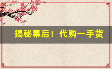 揭秘幕后！代购一手货源网“草率了事”