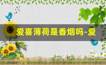 爱喜薄荷是香烟吗-爱喜薄荷烟是什么样的