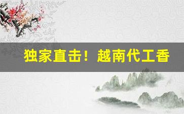 独家直击！越南代工香烟批发总仓“才高识远”
