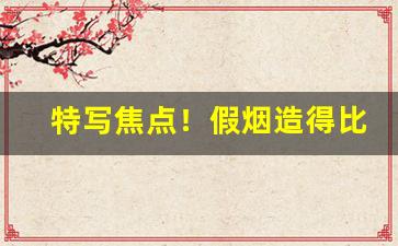 特写焦点！假烟造得比真烟还真的地方“搏牛之虻”