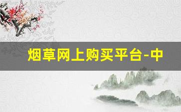烟草网上购买平台-中国烟草官网办事服务