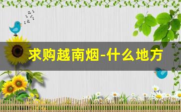 求购越南烟-什么地方能买到越南烟