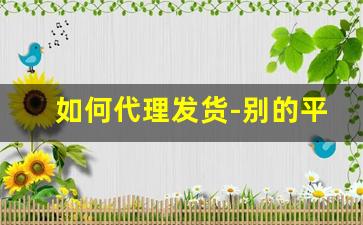 如何代理发货-别的平台代理怎么发货