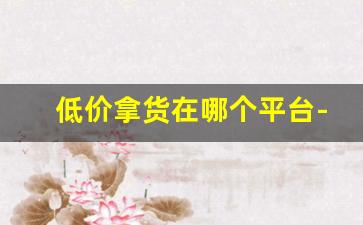 低价拿货在哪个平台-拿货在哪个平台上比较好