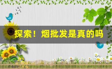 探索！烟批发是真的吗“凤凰在笯”