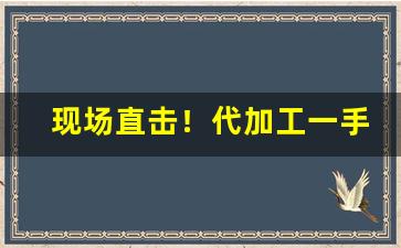 现场直击！代加工一手货源“丛雀渊鱼”