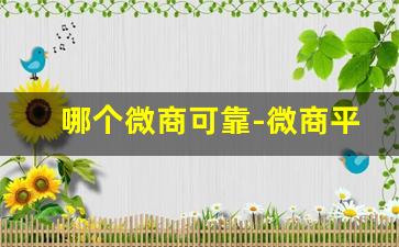 哪个微商可靠-微商平台靠谱吗
